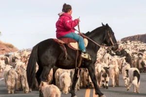 Lee más sobre el artículo Las Lajas celebra a las mujeres rurales con una gran fiesta criolla