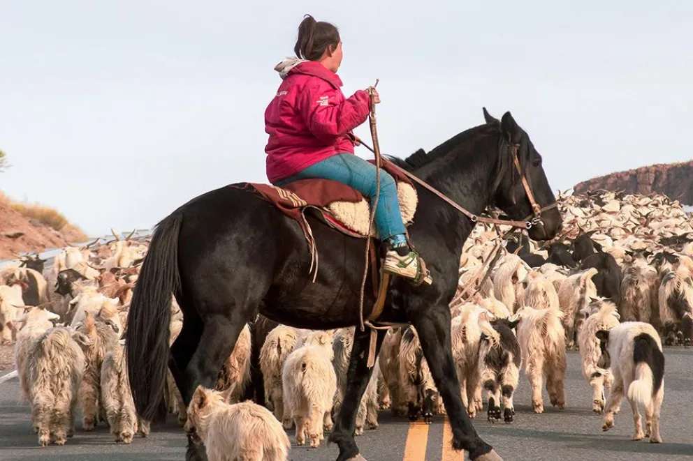 En este momento estás viendo Las Lajas celebra a las mujeres rurales con una gran fiesta criolla