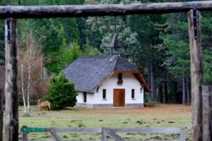 Lee más sobre el artículo La Capilla San Jorge, una joya escondida entre los bosques del Camino de la Fe neuquino