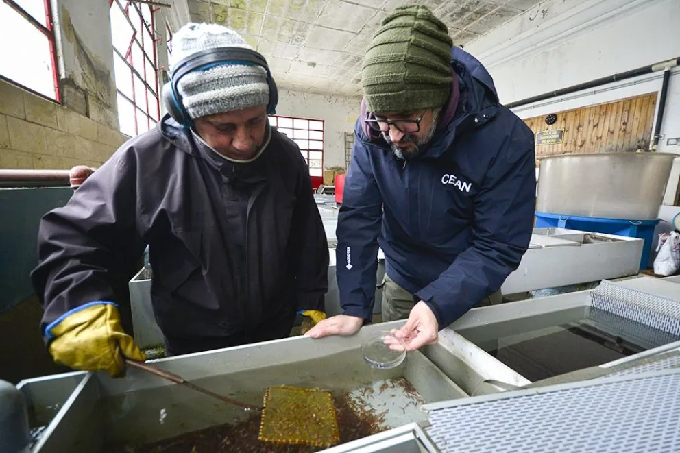 En este momento estás viendo Neuquén impulsa la cría familiar de truchas para mejorar la alimentación y generar ingresos